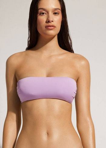 Dámské Topy Do Bikin Calzedonia Polstrovaný Bandeau Indonesia Eco Strapless Fialové | CZ2383XF